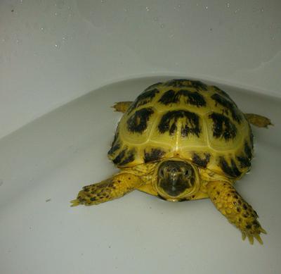 bath time <3