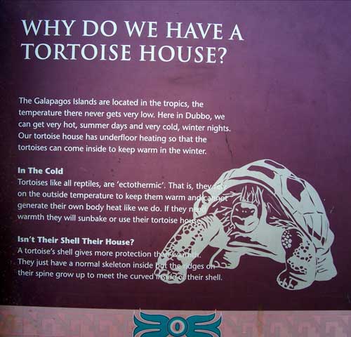 The sign at the tortoise house at Western Plains Zoo in Australia