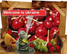 Wild Cherry tortoise from Ukraine